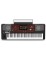 Korg Pa700 Oriental 61-key Arranger Workstation ( With Indian , Persian Styles )
